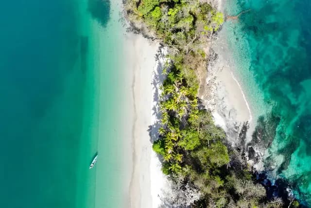 Aerial view of Isla Gámez, a palm-covered islet with white sand in the Gulf of Chiriquí, Panama
