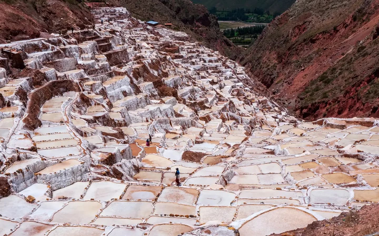 The terraced white salt pans of Maras cascading down a red-earth valley in the Sacred Valley, Peru
