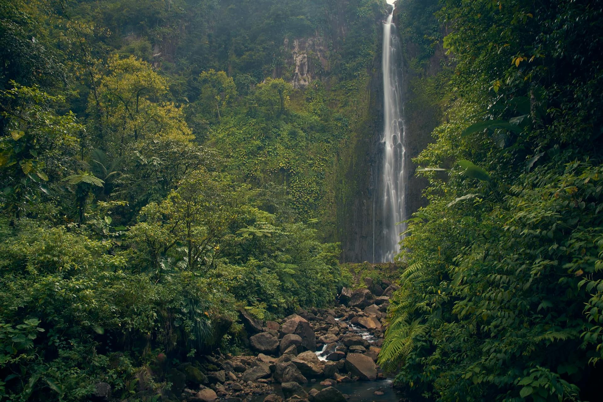 A tall waterfall cascading through dense tropical rainforest in the mountainous interior of Saint Lucia