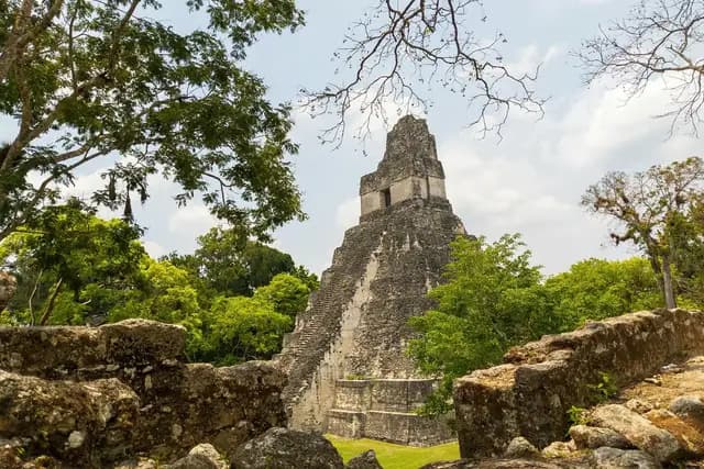 Temple I Great Jaguar rising above the rainforest canopy at Tikal, Guatemala