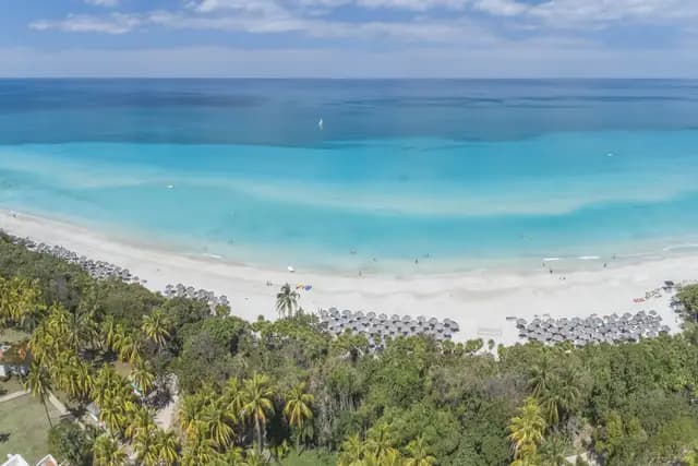 Empty palm-fringed white sand beach with turquoise Caribbean water at Varadero, Cuba