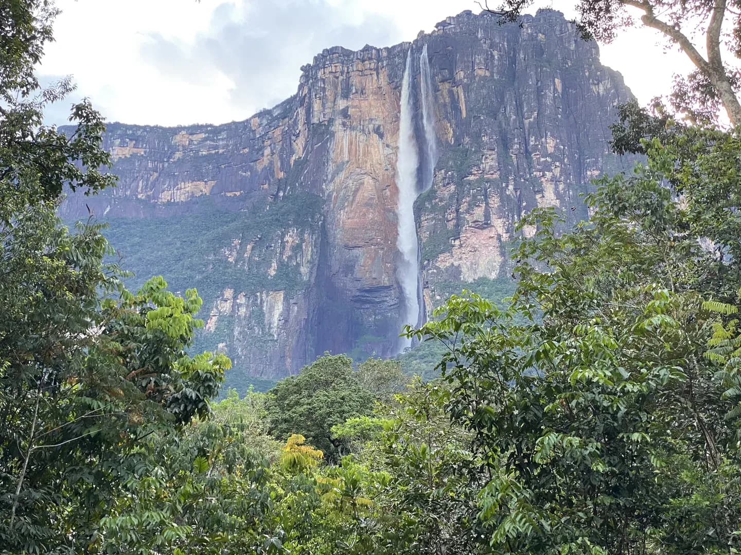 Angel Falls dropping from the rim of Auyán-tepui into the rainforest, Canaima National Park, Venezuela
